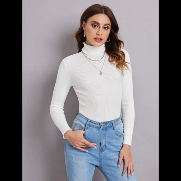 SHEIN Sweaters - TURTLENECK RIBBED KNIT SWEATER